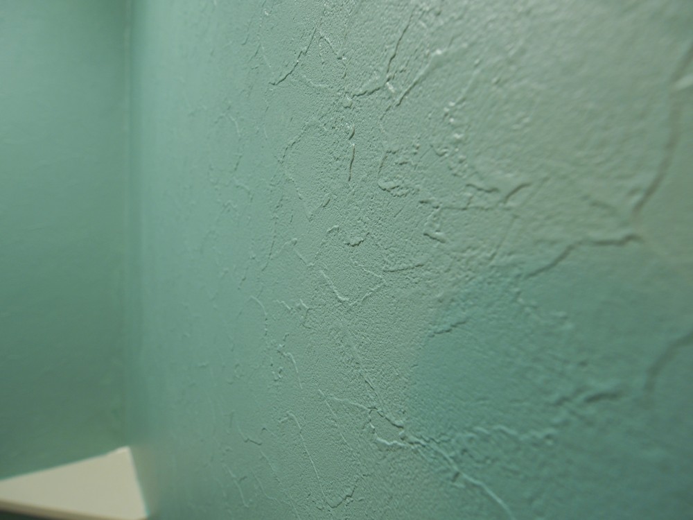 トイレの壁を塗装 もちおさんさんの関西ペイントの壁材 1 2 イエナカ手帖