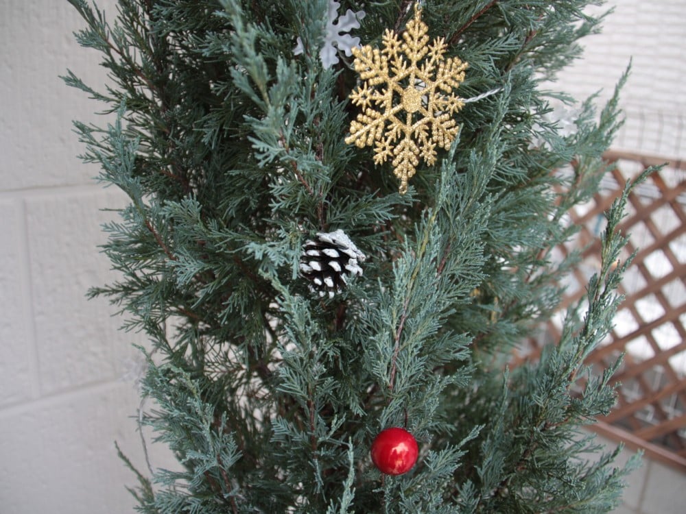 コニファーをクリスマス仕様に飾り付け Kurumiruさんの玄関ポーチの観葉植物 イエナカ手帖