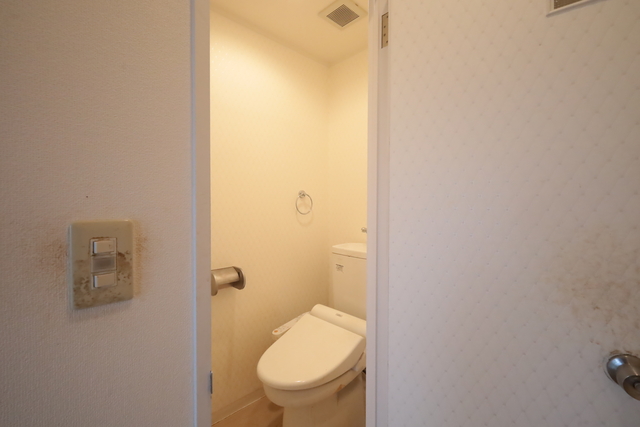 トイレスペースの代表写真